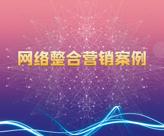 網(wǎng)絡(luò)整合營銷案例