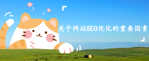 關于網(wǎng)站SEO優(yōu)化的重要因素
