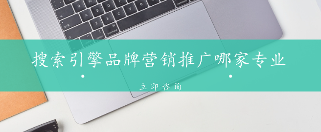 搜索引擎品牌營(yíng)銷推廣哪家專業(yè)