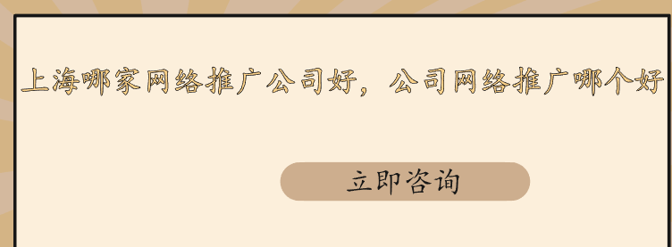 上海哪家網(wǎng)絡(luò)推廣公司好，公司網(wǎng)絡(luò)推廣哪個好