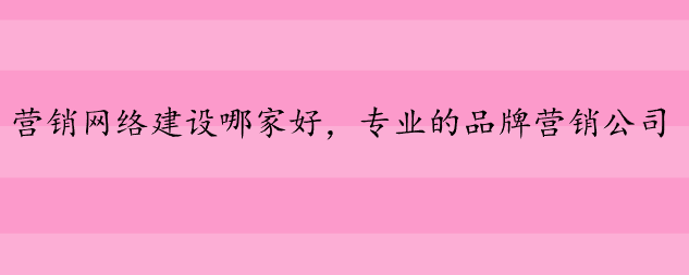 營(yíng)銷網(wǎng)絡(luò)建設(shè)哪家好，專業(yè)的品牌營(yíng)銷公司